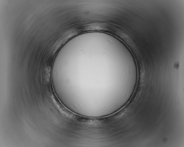 X0000115241233200911201613