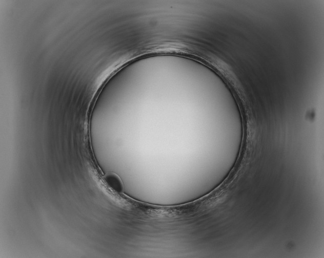 X0000115241234200911201613
