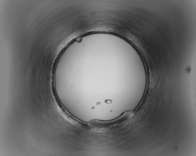 X0000115241237200911201613
