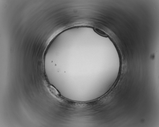 X0000115241242200911201613