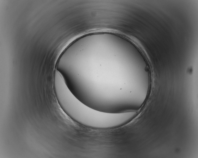 X0000115241244200911201613