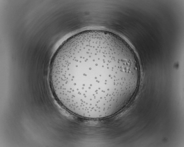 X0000115241245200911201613