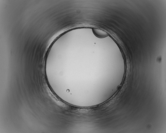 X0000115241246200911201613