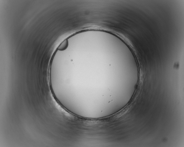 X0000115241247200911201613