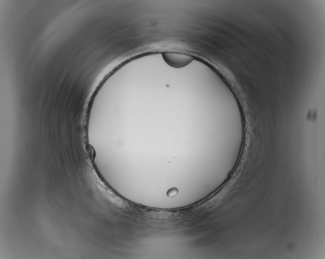 X0000115241248200911201613
