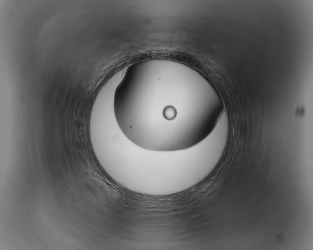 X0000115241252200911201612