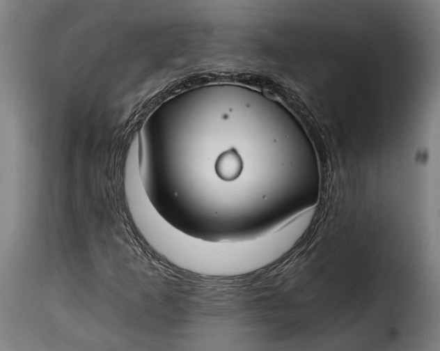 X0000115241253200911201612