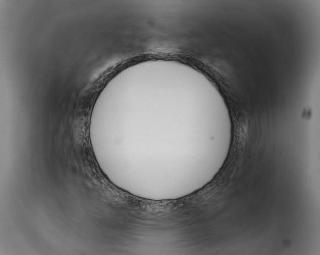 X0000115241254200911201612