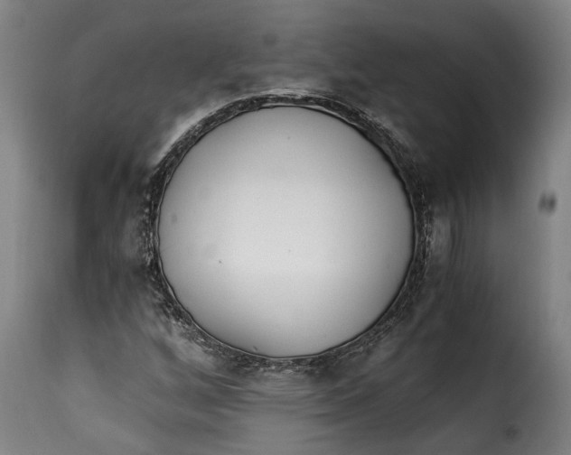 X0000115241256200911201612