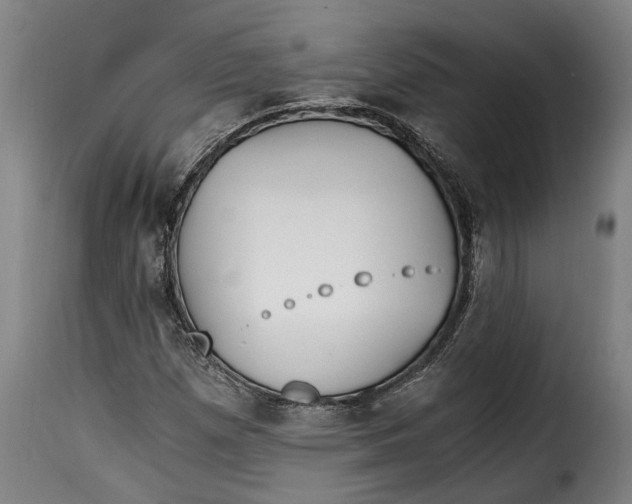 X0000115241257200911201612
