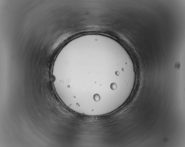 X0000115241259200911201612