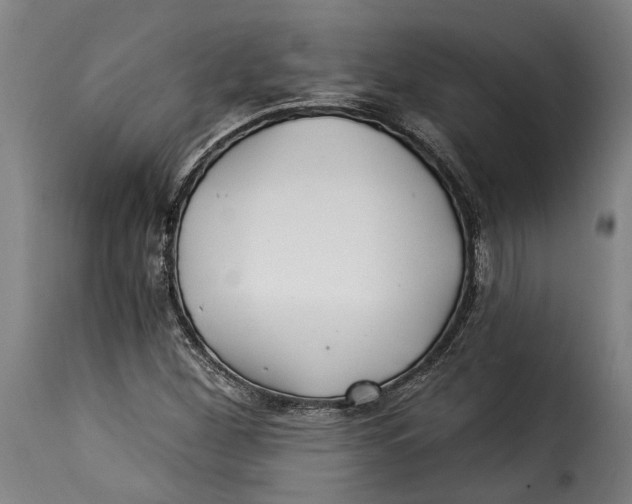 X0000115241260200911201612