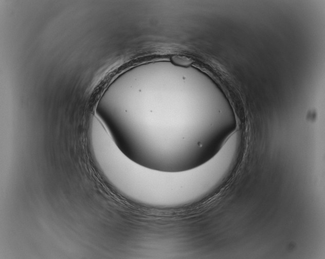 X0000115241261200911201612