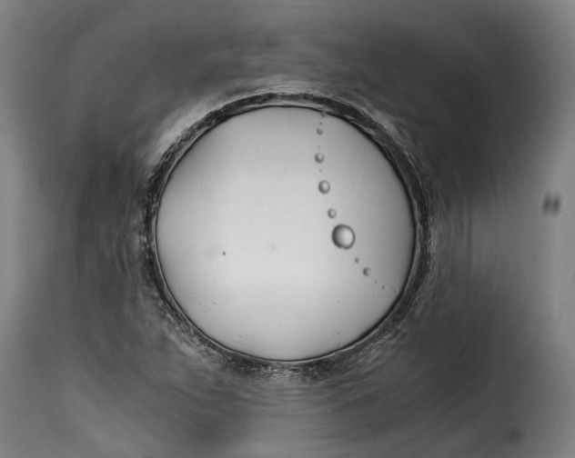 X0000115241263200911201612