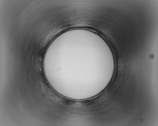 X0000115241265200911201612