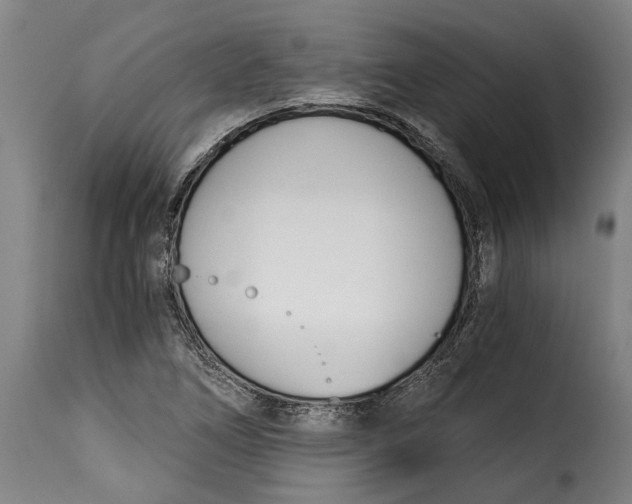 X0000115241266200911201612
