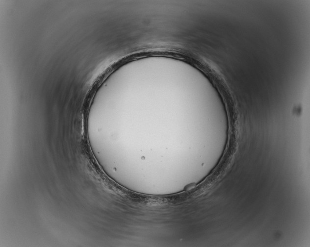 X0000115241267200911201612