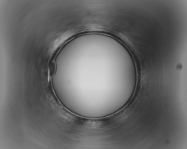 X0000115241269200911201612