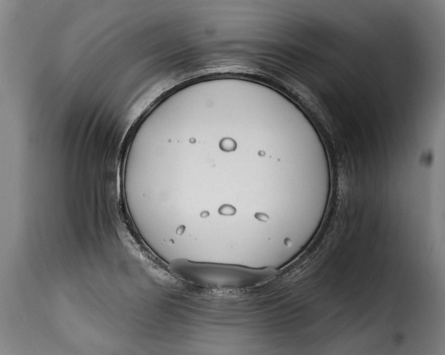 X0000115241274200911201612
