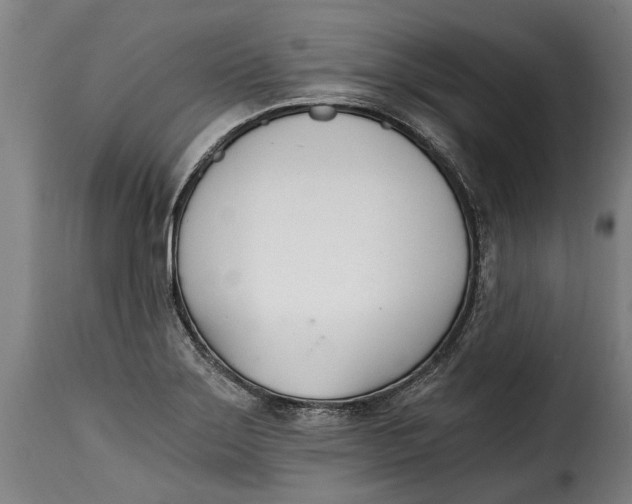 X0000115241275200911201612
