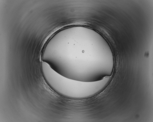 X0000115241276200911201612