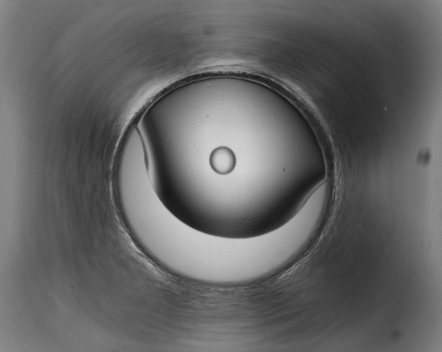 X0000115241277200911201612