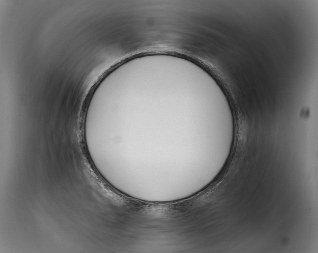X0000115241278200911201612