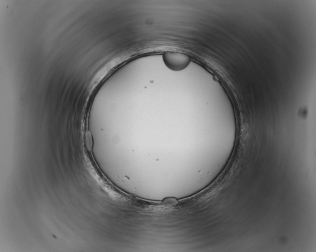 X0000115241282200911201612