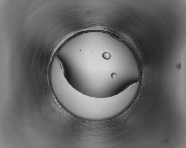 X0000115241284200911201612