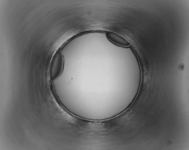 X0000115241285200911201612