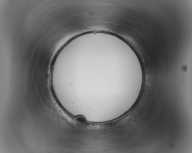 X0000115241286200911201612