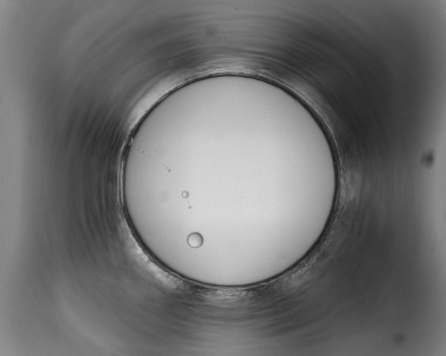 X0000115241290200911201612