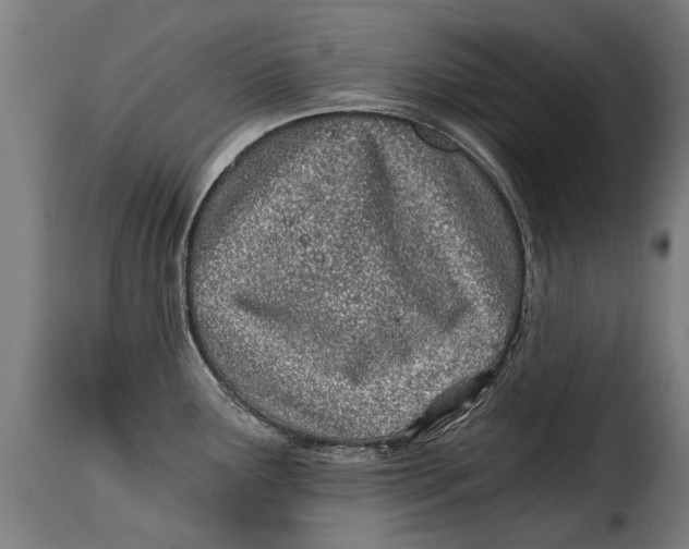 X0000115241291200911201612