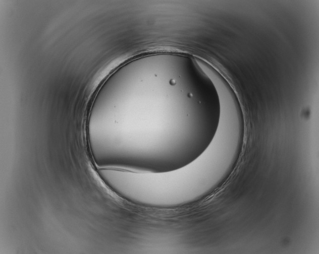 X0000115241293200911201612
