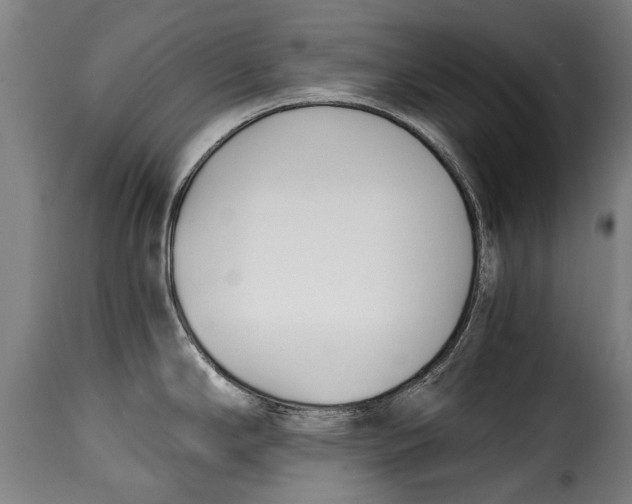 X0000115241294200911201612