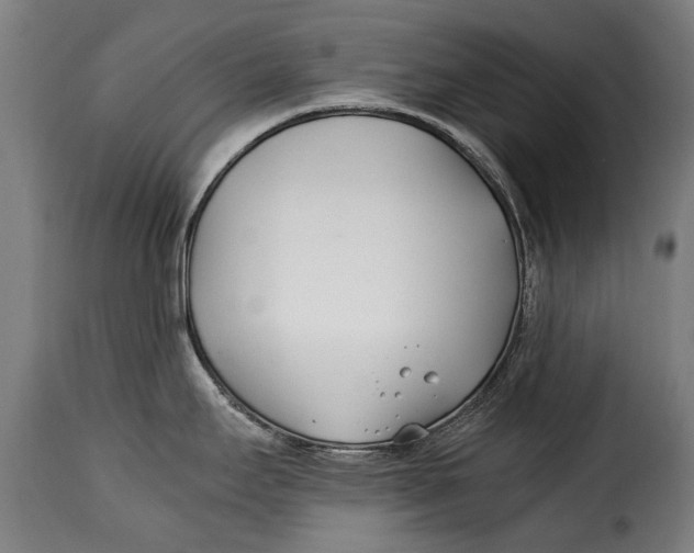 X0000115241295200911201612