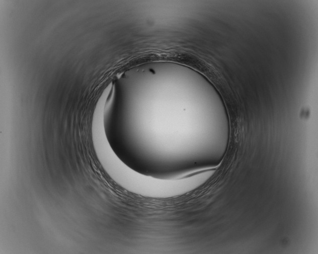 X0000115241298200911201611