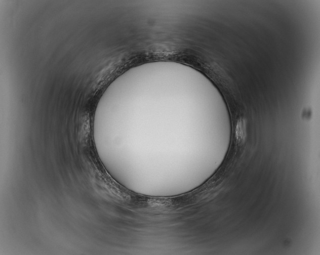 X0000115241299200911201611