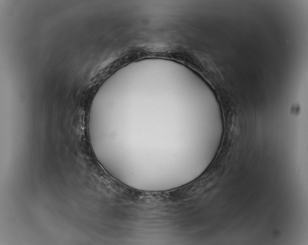 X0000115241301200911201611