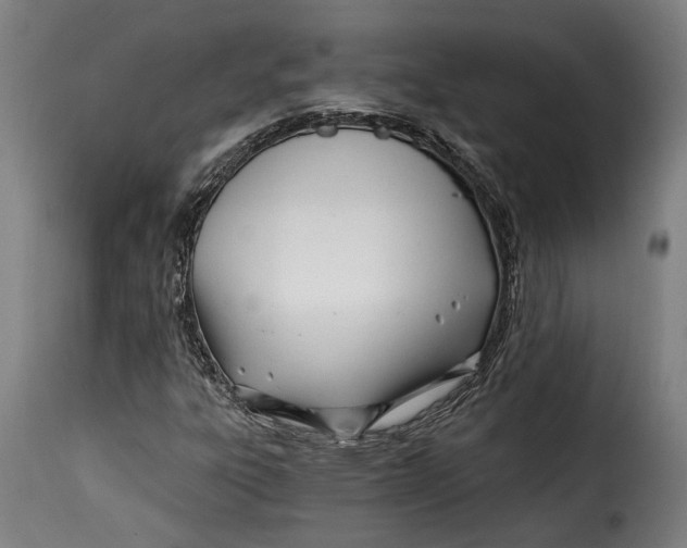 X0000115241303200911201611