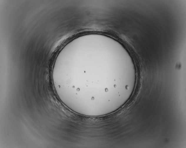 X0000115241307200911201611