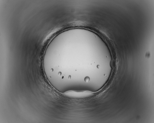 X0000115241309200911201611