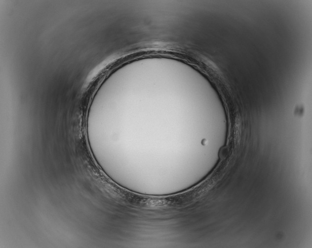 X0000115241310200911201611