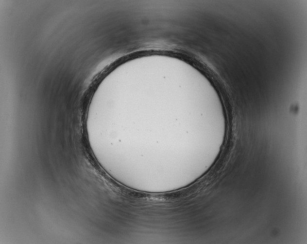 X0000115241315200911201611