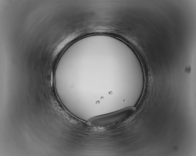X0000115241317200911201611