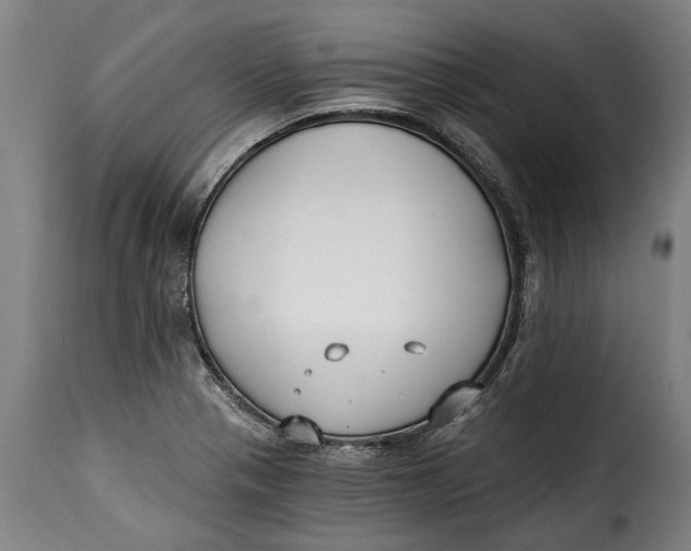 X0000115241321200911201611