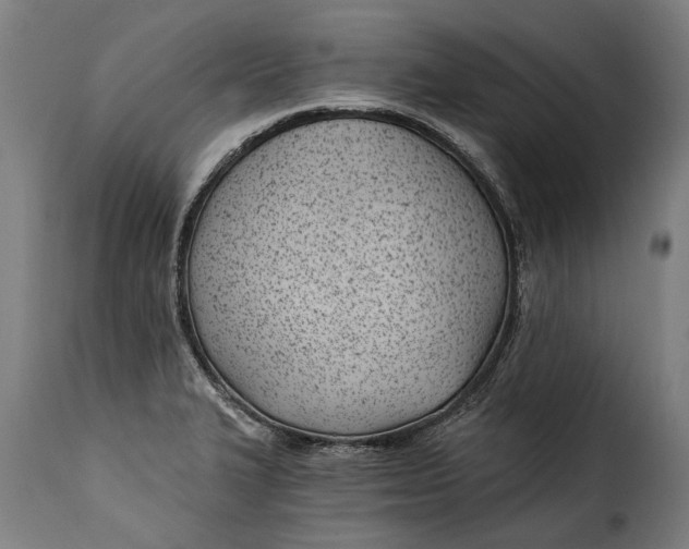 X0000115241327200911201611