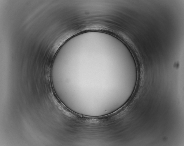 X0000115241329200911201612