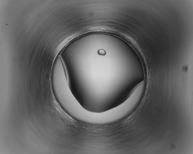 X0000115241330200911201612