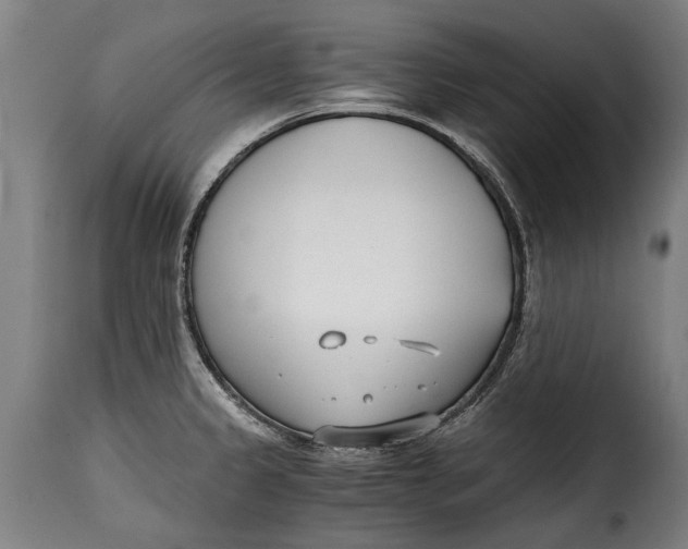 X0000115241333200911201612